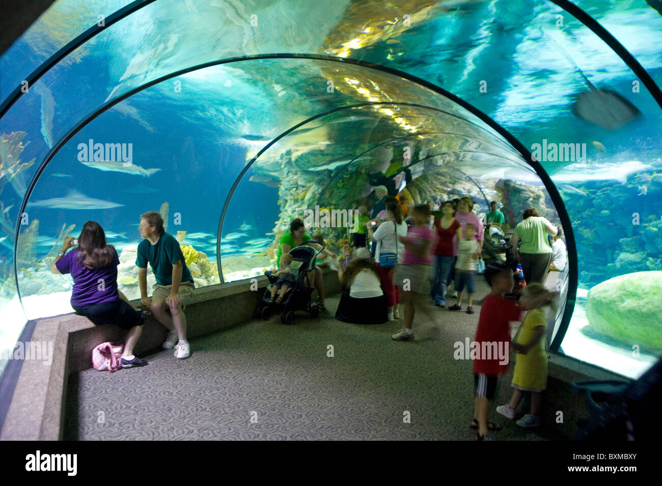 Henry Doorly Zoo - Aquarium Scott Banque D'Images