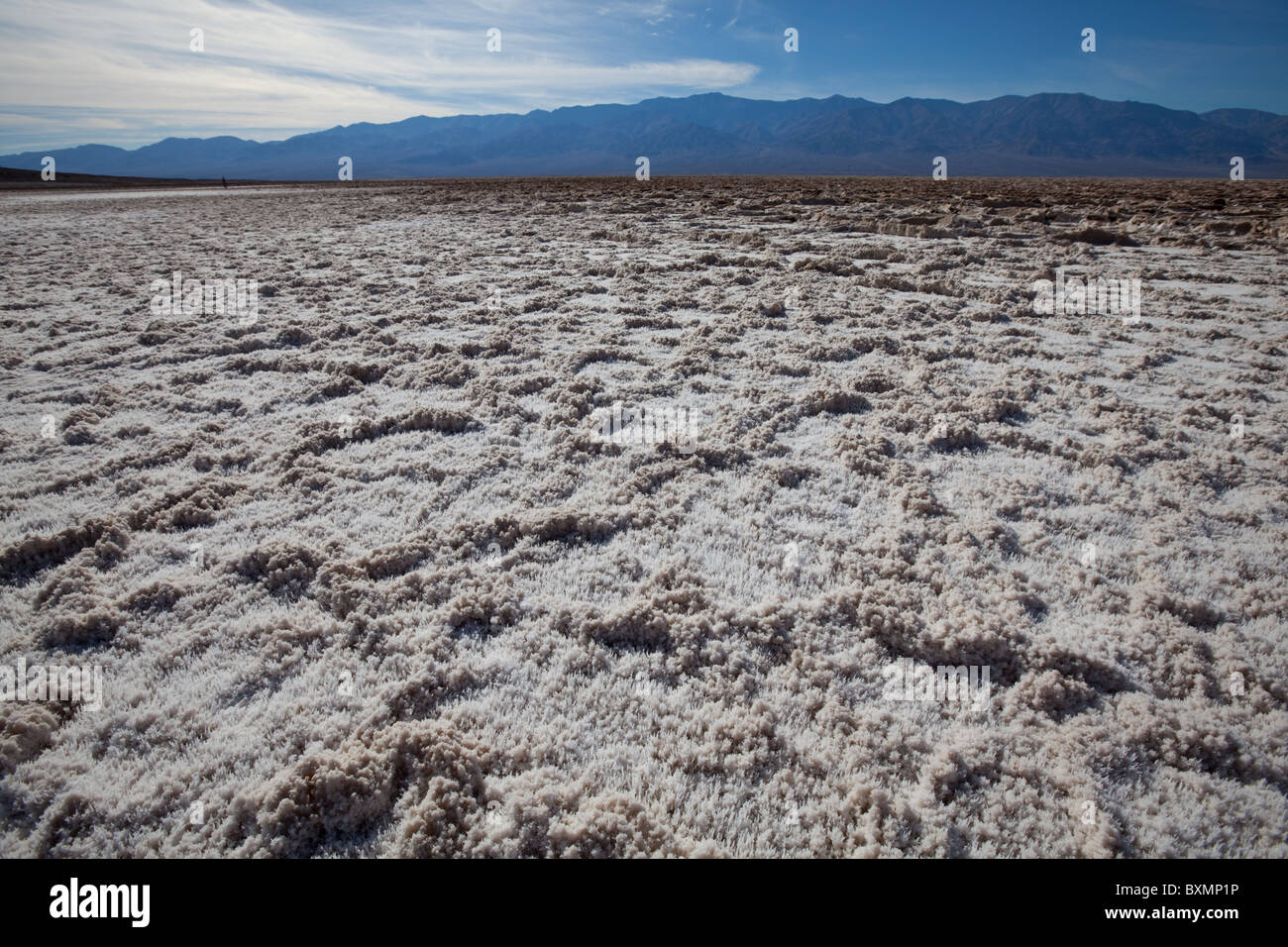 La formation de cristaux de sel dans la région de Death Valley National Park,USA Banque D'Images