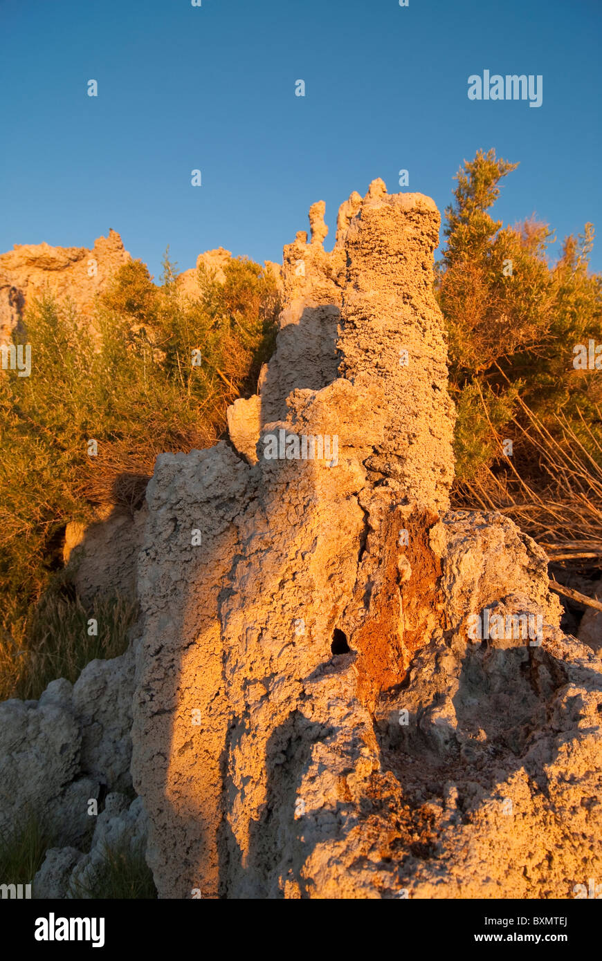 Tufas au lac Mono, Lee Vining Banque D'Images