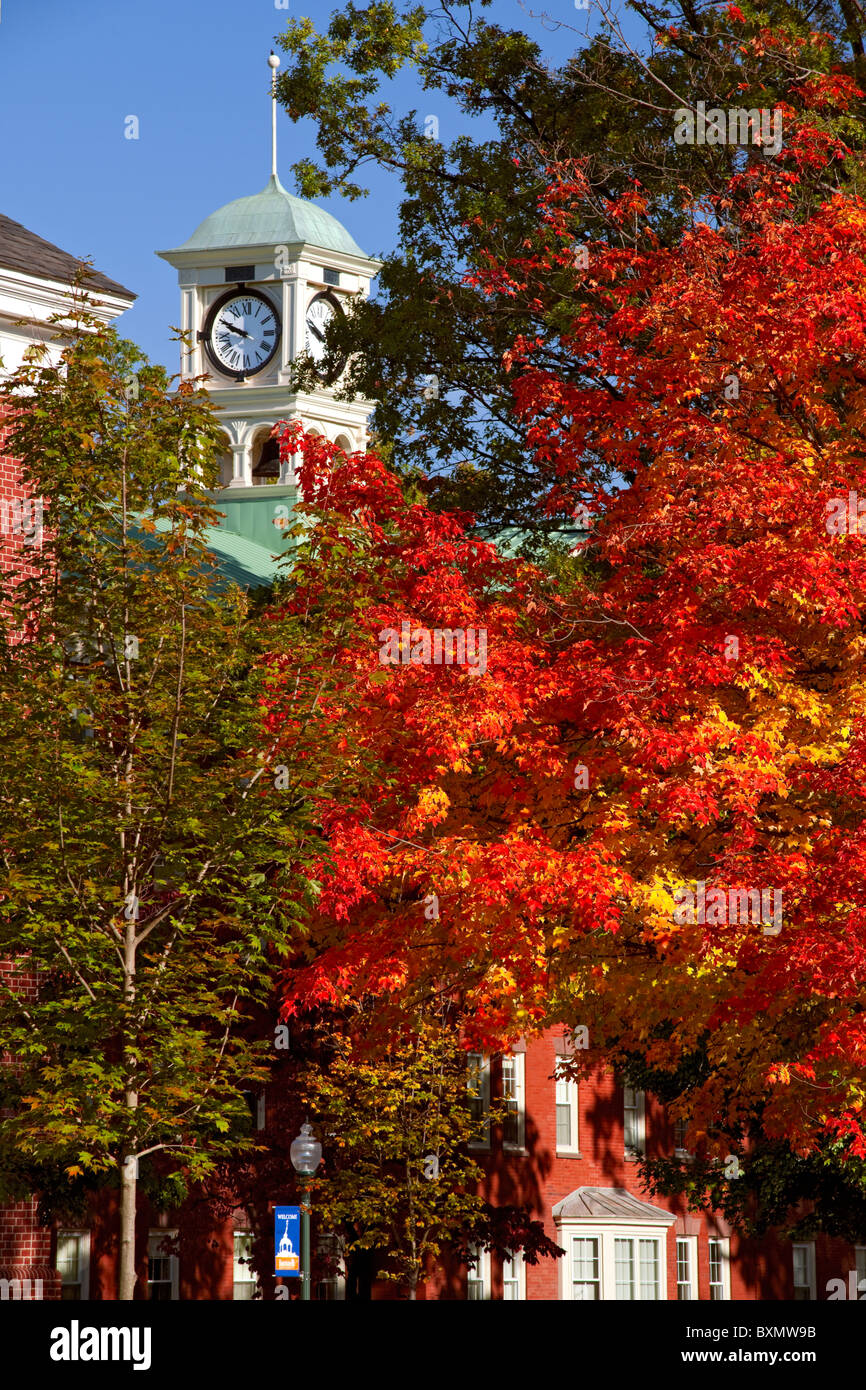 De l'automne brillant l'érable à sucre sur le campus de l'Université Bucknell, à Lewisburg, Pennsylvanie. Banque D'Images