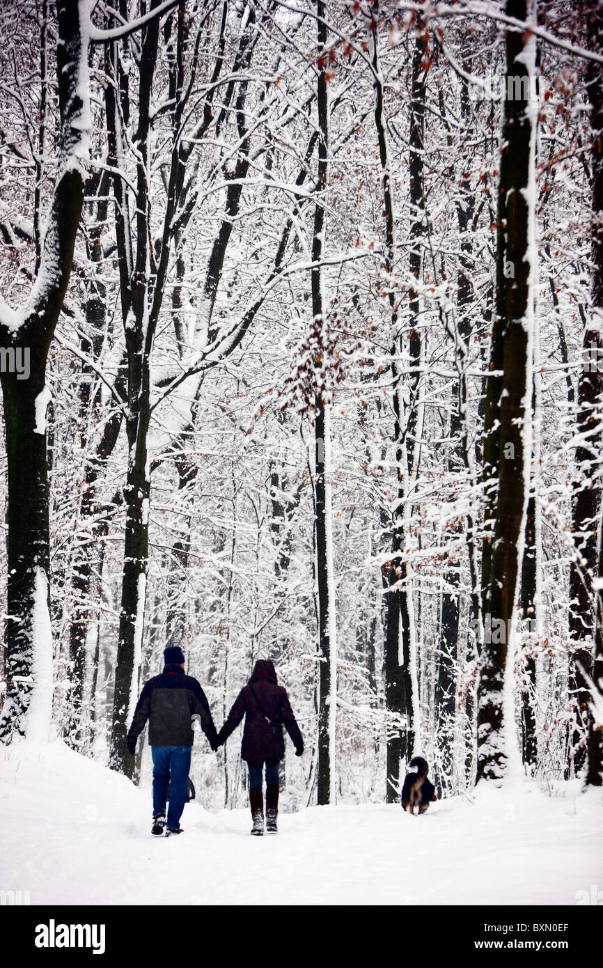 L'hiver, la forêt couverte de neige. Les gens l'occasion d'une randonnée sur un chemin enneigé. Banque D'Images
