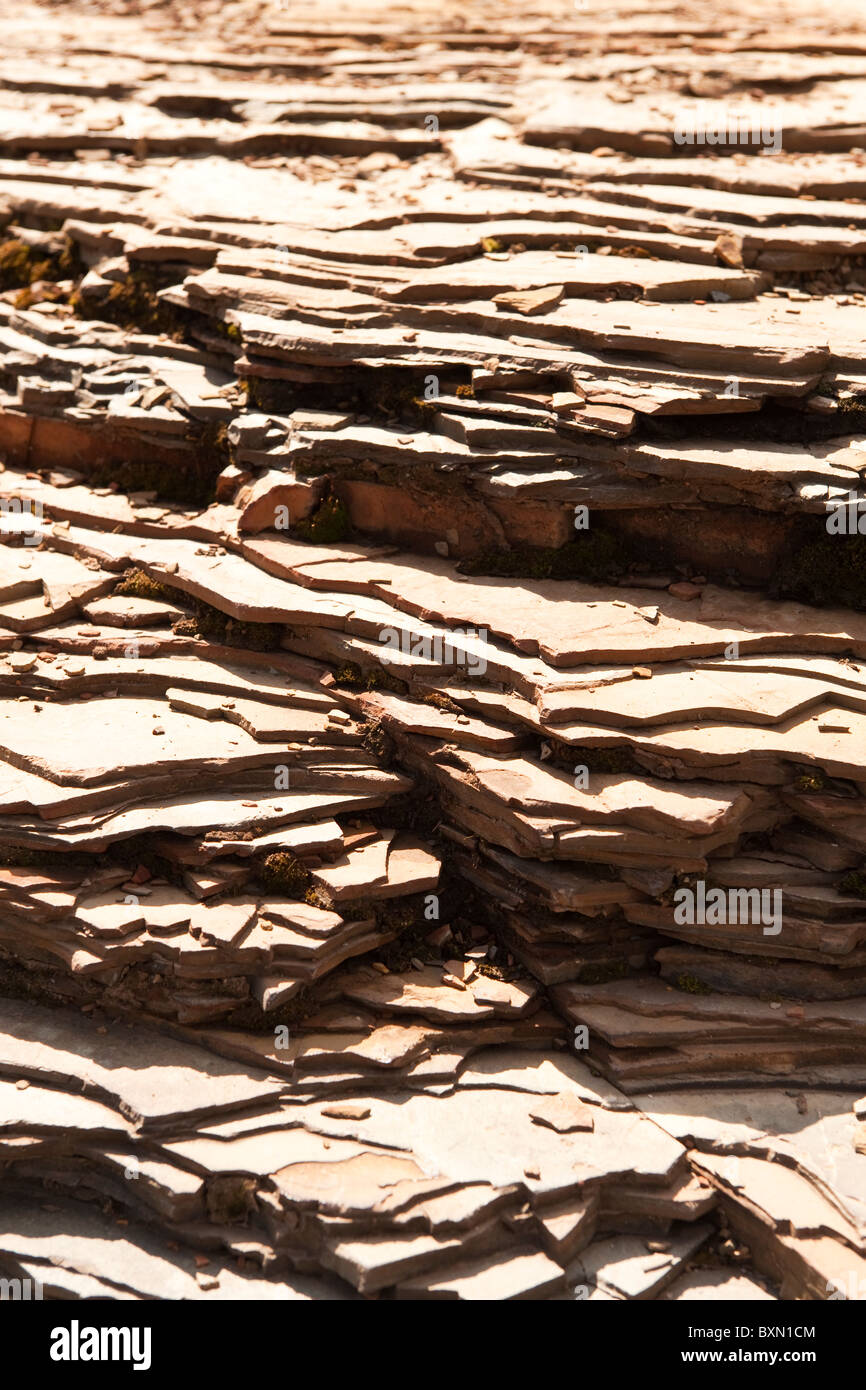 Roche sédimentaire à Marble Canyon, le Parc National de Kootenay, montagnes Rocheuses, British Columbia, Canada Banque D'Images