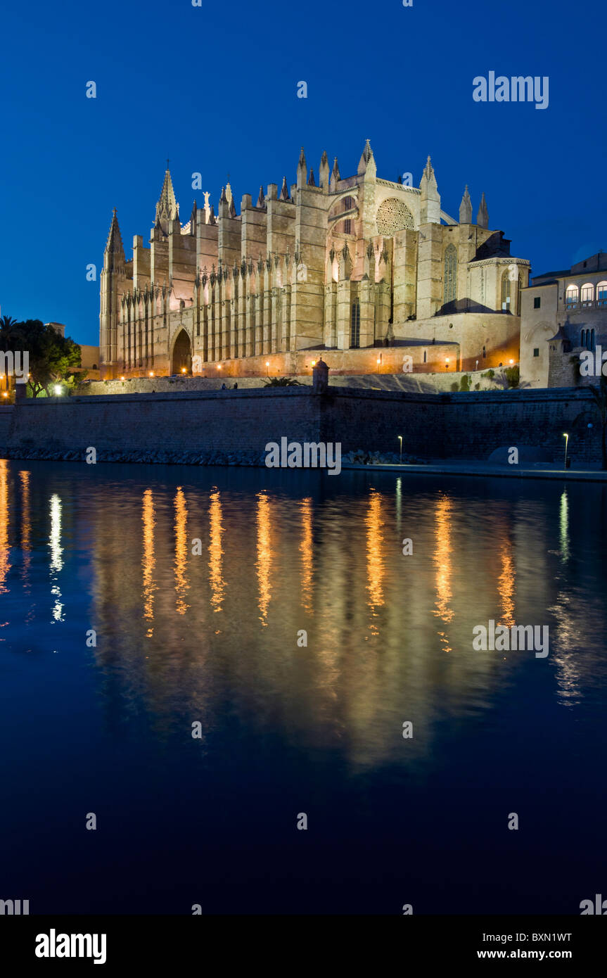 La cathédrale de Palma dans la nuit avec l'Almudaina Parc de La Mar Palma de Majorque Îles Baléares Espagne Banque D'Images