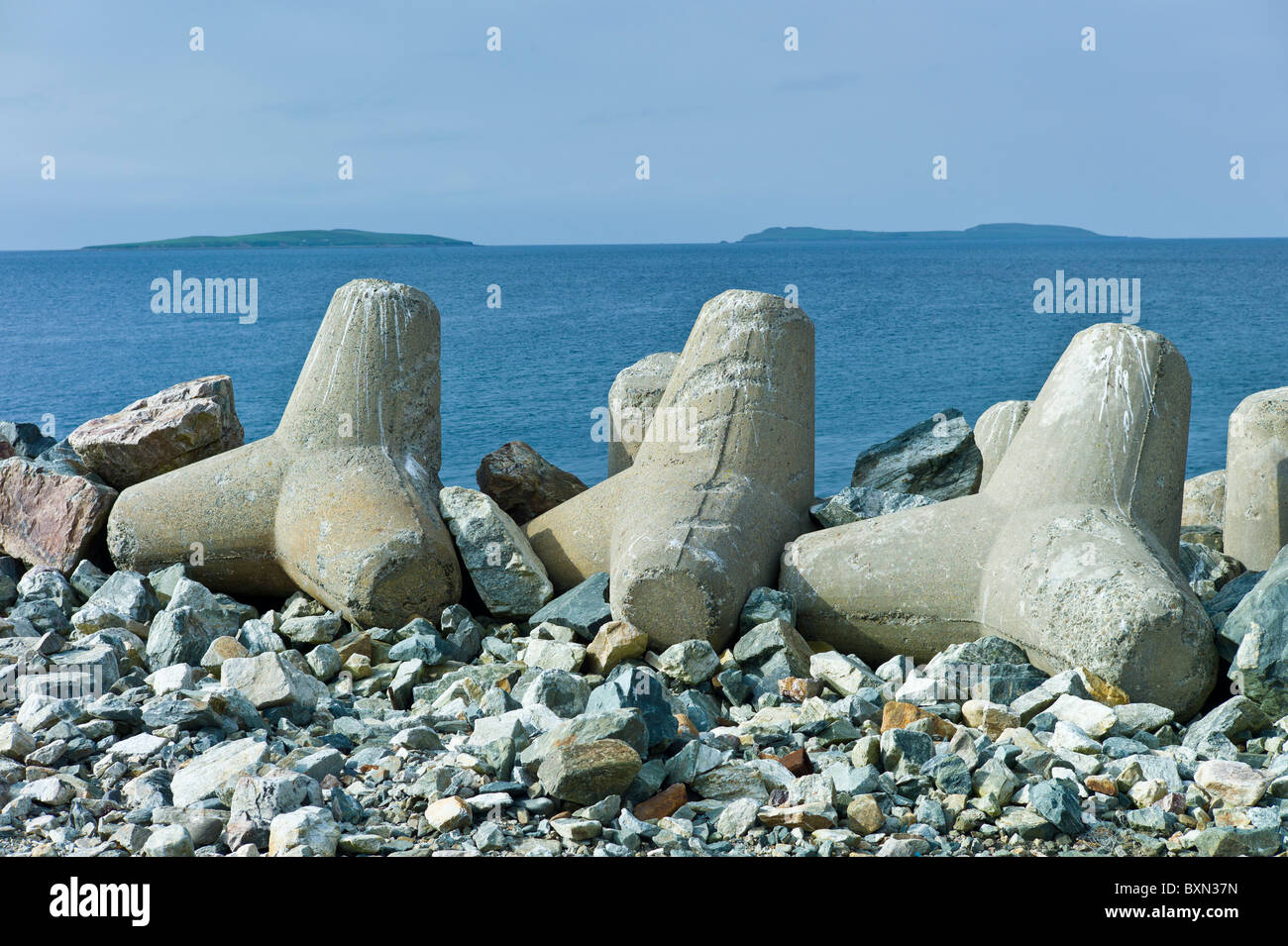 Îles Saltee en mer d'Irlande avec les défenses de la mer en premier plan, Kilmore, comté de Wexford, Irlande Banque D'Images