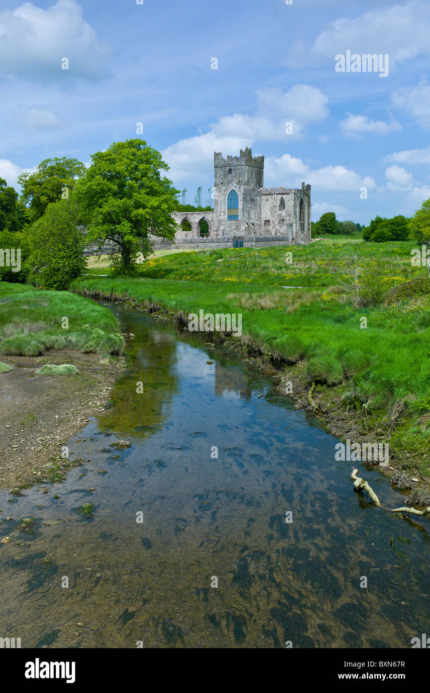Abbaye de Tintern 12ème siècle, autrefois une abbaye cistercienne, dans le comté de Wexford construit par comte de Pembroke en 1200, l'Irlande Banque D'Images
