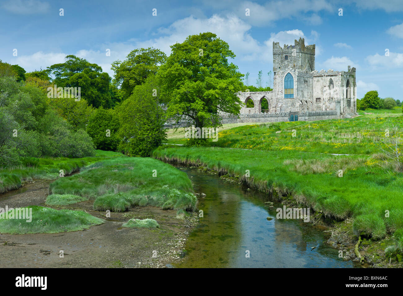 Abbaye de Tintern 12ème siècle, autrefois une abbaye cistercienne, dans le comté de Wexford construit par comte de Pembroke en 1200, l'Irlande Banque D'Images