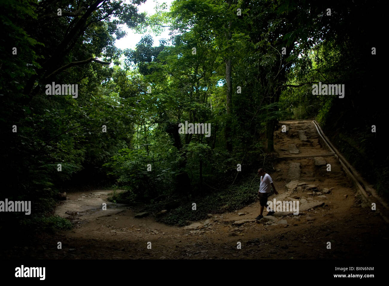 Un homme marche dans un chemin dans le parc national du mont Avila à Caracas, Venezuela, le 23 juillet 2008. Banque D'Images