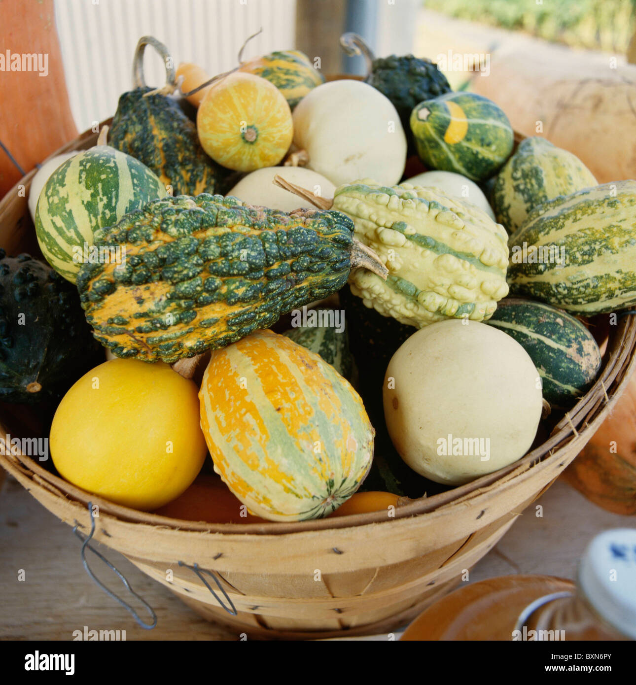 Un panier de courges décoratives AU STAND DE LÉGUMES HABERSHAM. HABERSHAM Comté (Géorgie) Banque D'Images