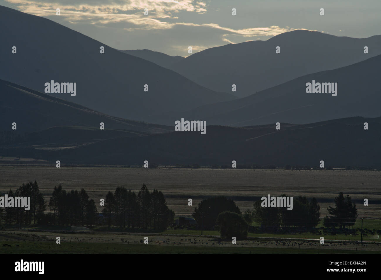 Les collines au nord de Omarama receed dans la distance dans la lumière du soir Banque D'Images