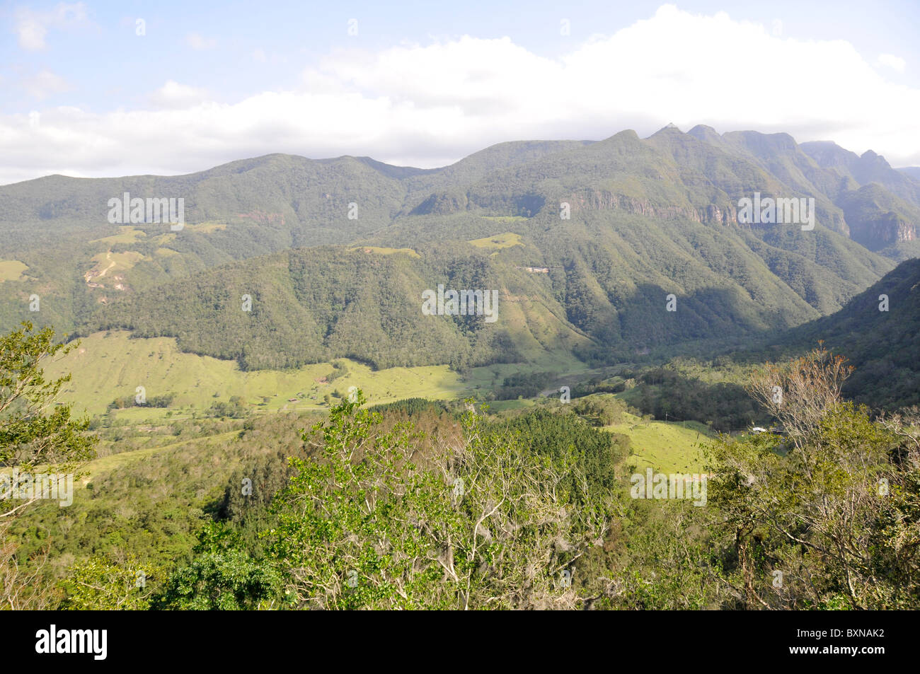 Falaises de Serra do Rio do Rastro, Lauro Muller, Santa Catarina, Brésil Banque D'Images