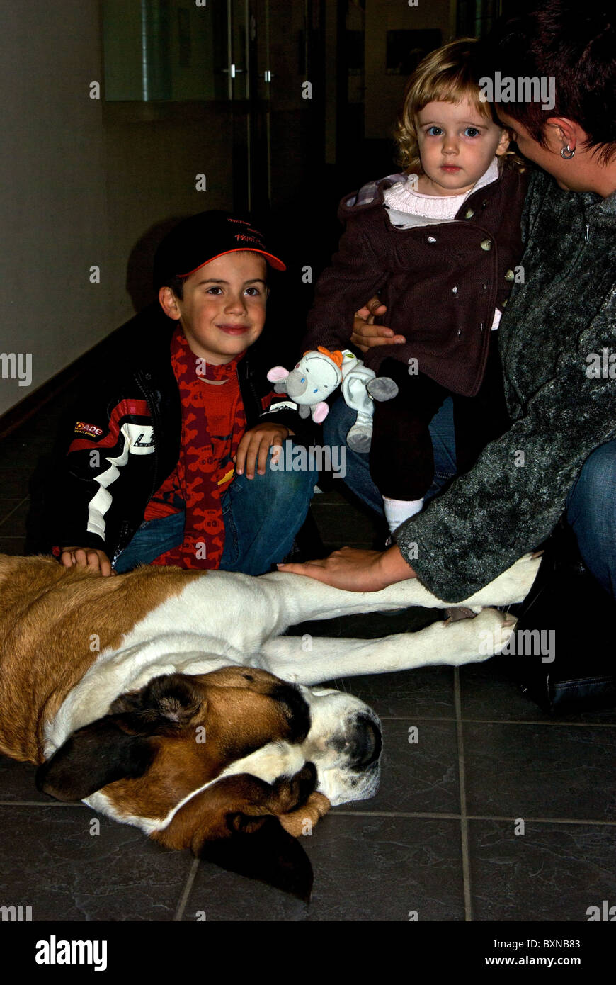 Ferme pédagogique enfants mère grand Saint Bernard dog lying on floor at museum kennel Martigny Valais Suisse Banque D'Images