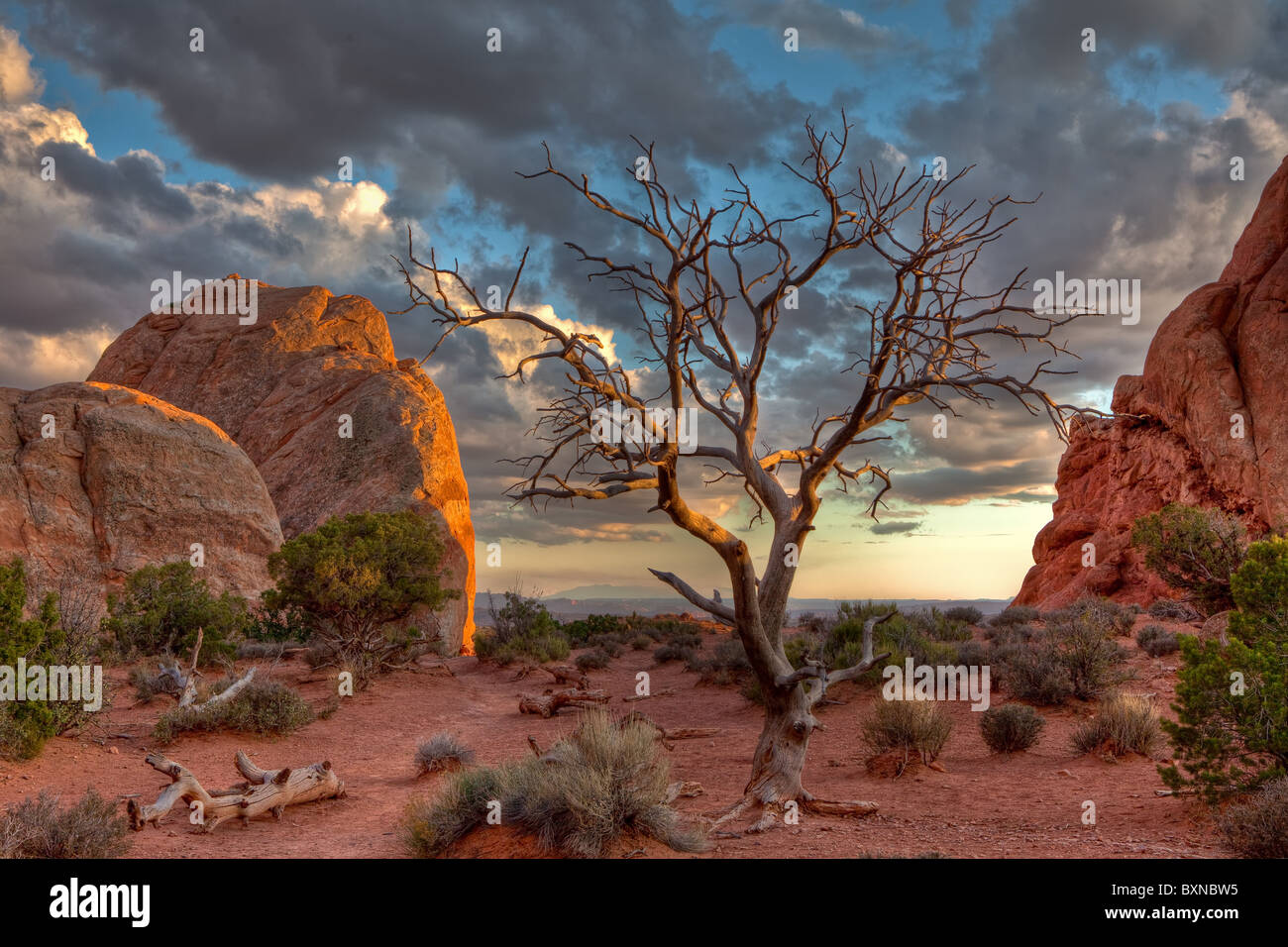 Arches National Park au coucher du soleil Banque D'Images