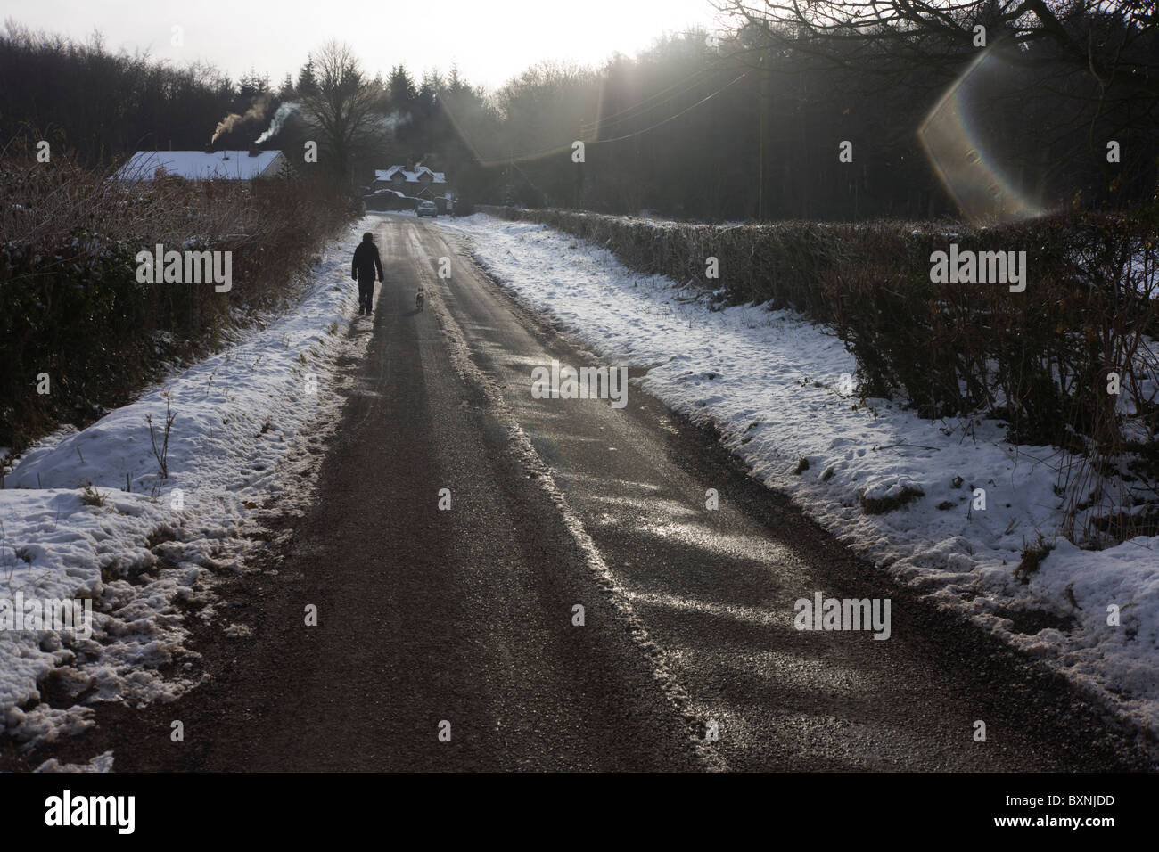 12 ans d'agréables promenades le long des routes rurales congelé avec chien suivantes au cours des conditions hivernales en Amérique du Somerset. Banque D'Images