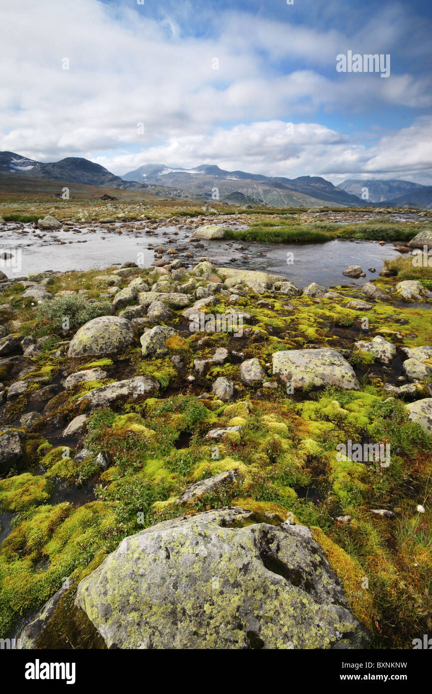 Paysage naturel norvégien de blocs rocheux, de mousse, de rivières et de belles montagnes Banque D'Images