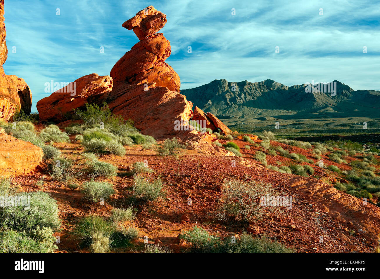 De nombreux types de formations de grès dont cet équilibre rock sont trouvés dans la Vallée de Feu du Nevada State Park. Banque D'Images