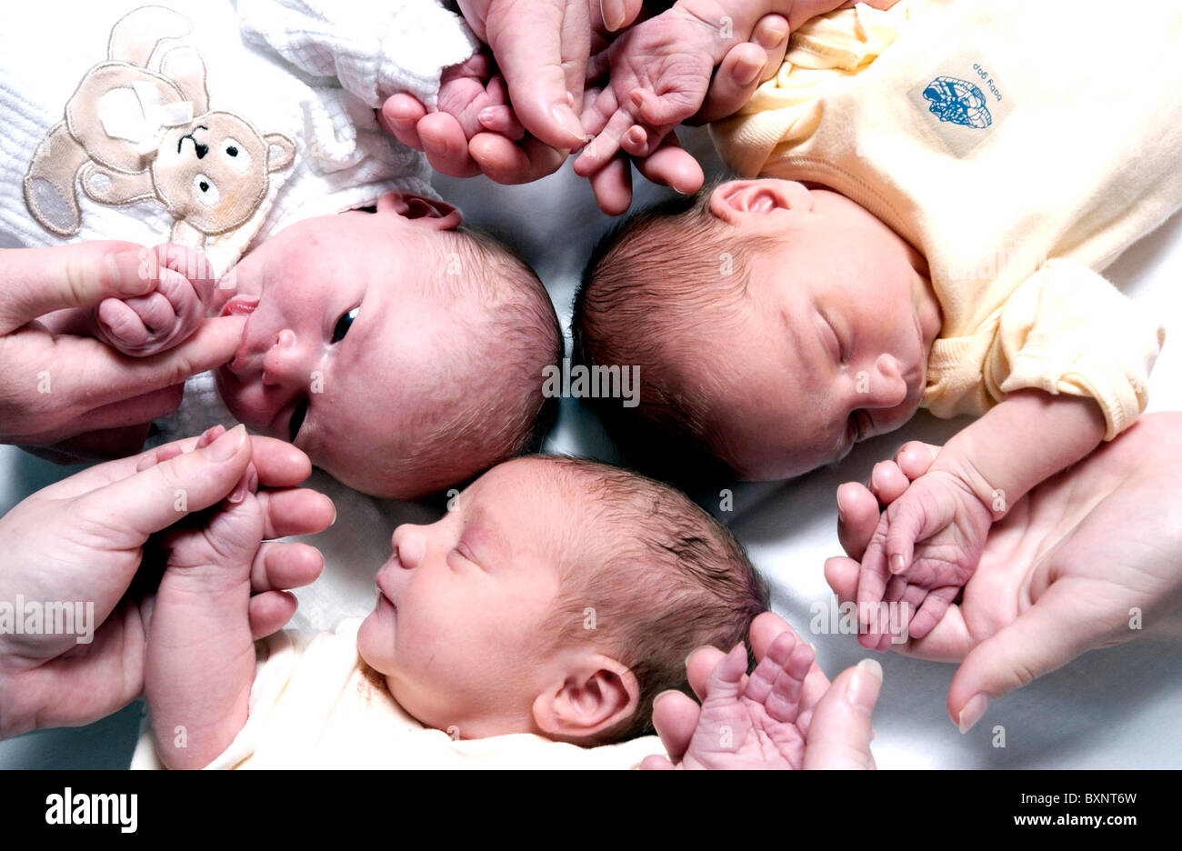 Jour nouvellement né vieux bébés avec leurs mamans, les mains dans une maternité Banque D'Images
