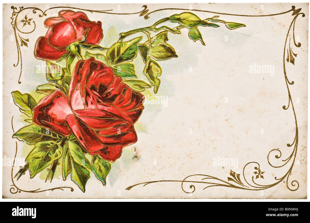 Carte postale vintage avec des roses rouges et blancs copyspace Banque D'Images