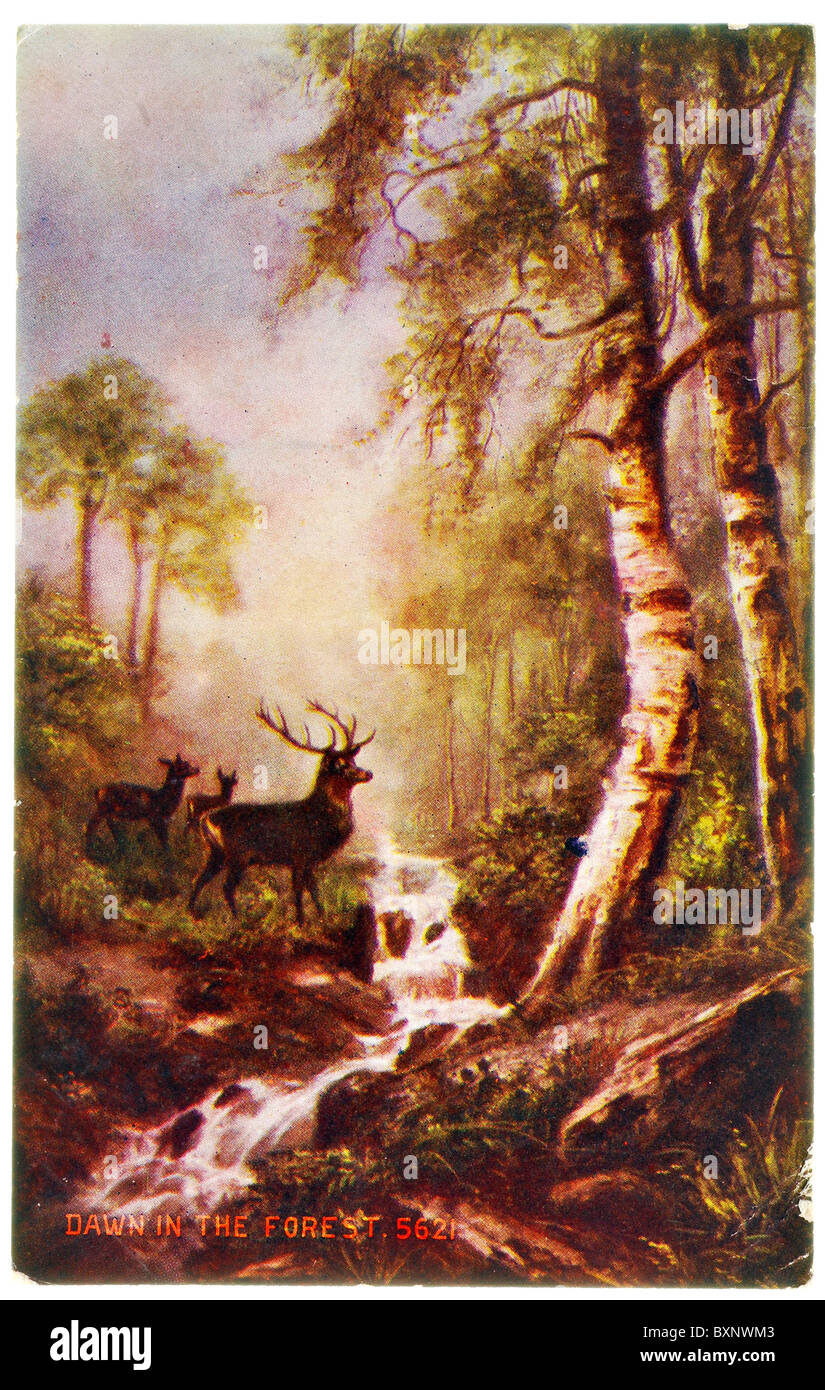 Vintage carte postale avec la peinture à l'huile de cerfs dans la forêt - à l'aube dans la forêt Banque D'Images