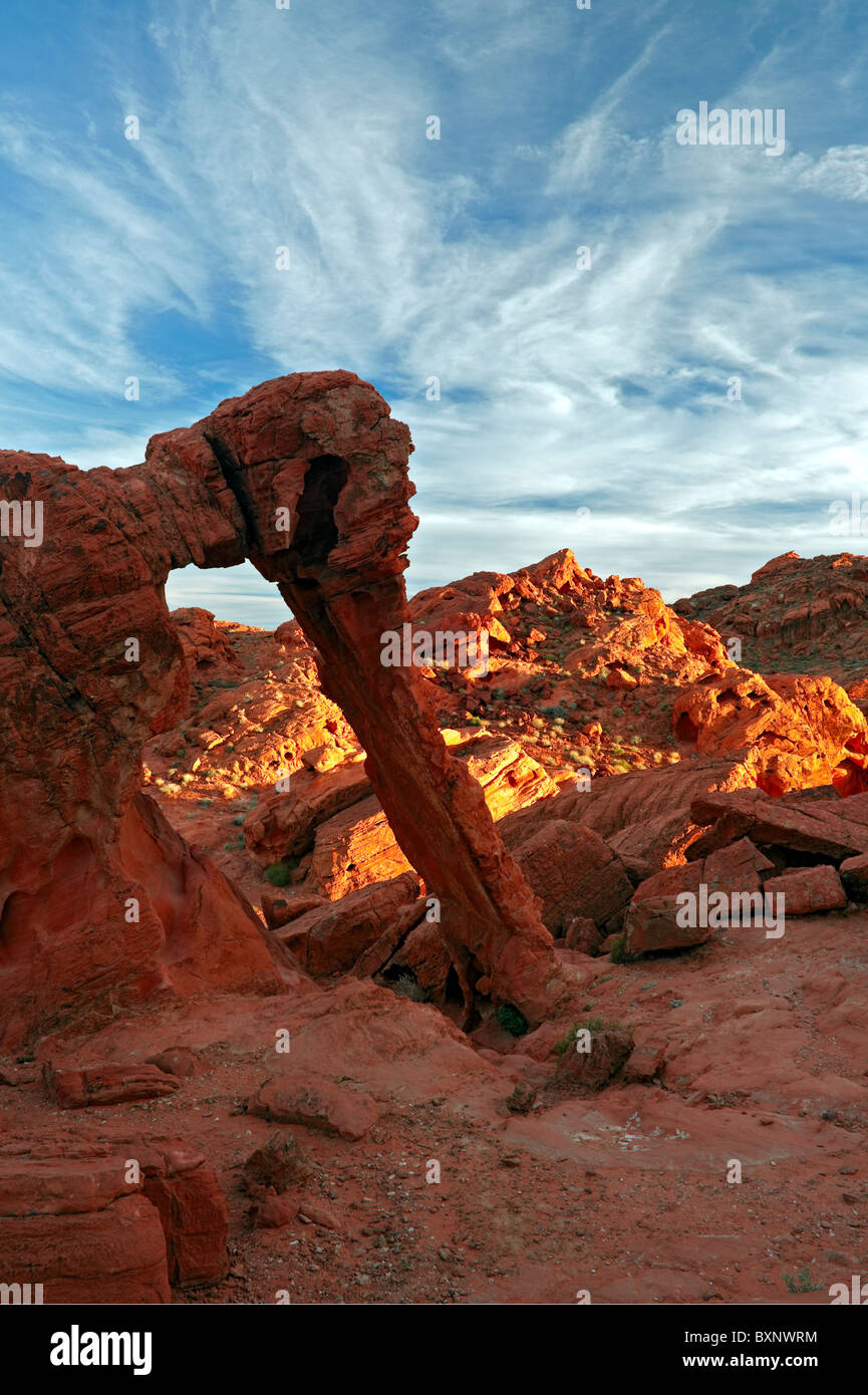 Soir lumière baigne Elephant Arch et le grès rouge paysage de Nevada's Valley of Fire State Park. Banque D'Images