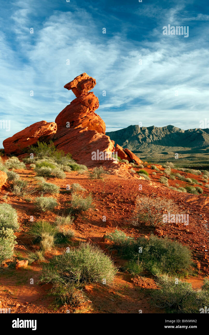 De nombreux types de formations de grès dont cet équilibre rock sont trouvés dans la Vallée de Feu du Nevada State Park. Banque D'Images
