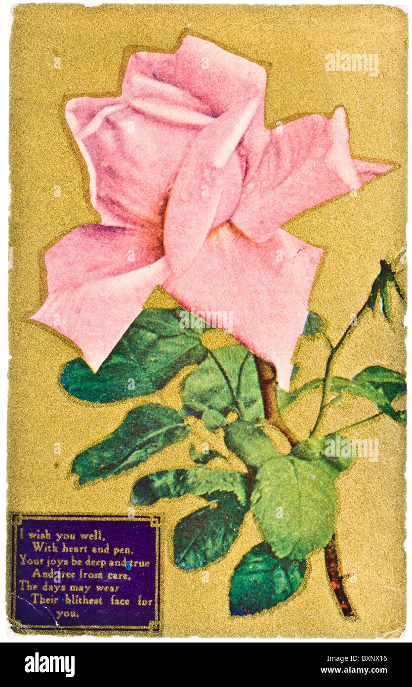 Vintage carte postale avec des vœux et rose rose Banque D'Images