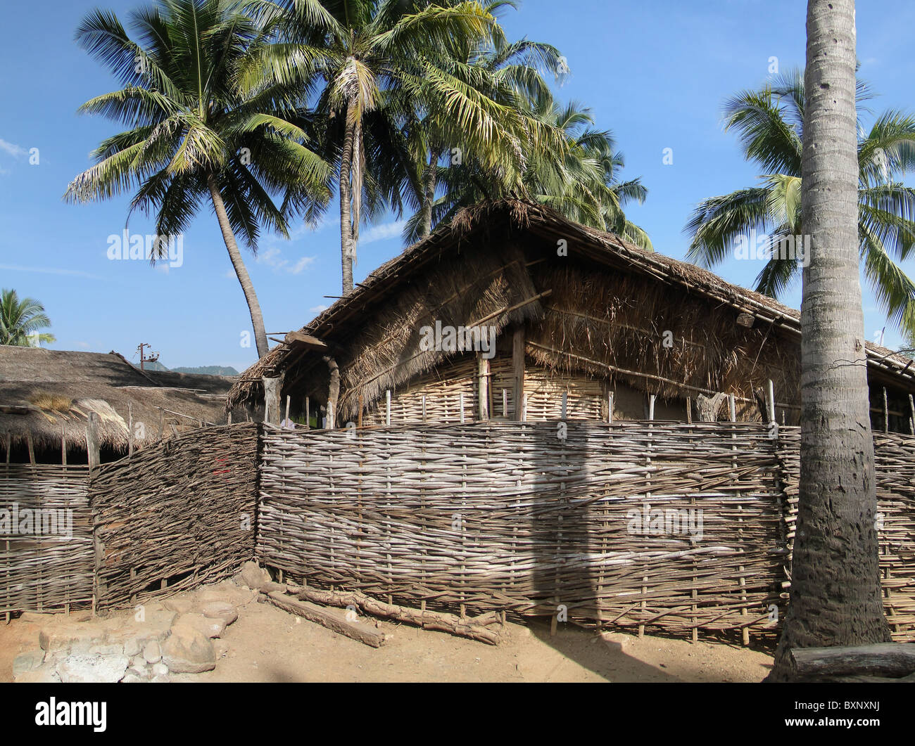 Huttes de chaume et de palmiers dans un village tribal dans l'Orissa, Inde Banque D'Images