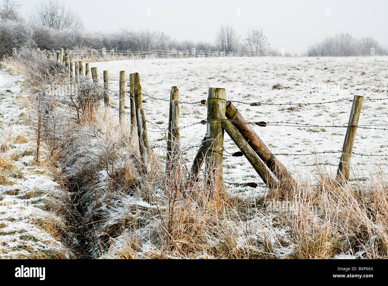 Barbelés entourant l'hiver frosty field Banque D'Images