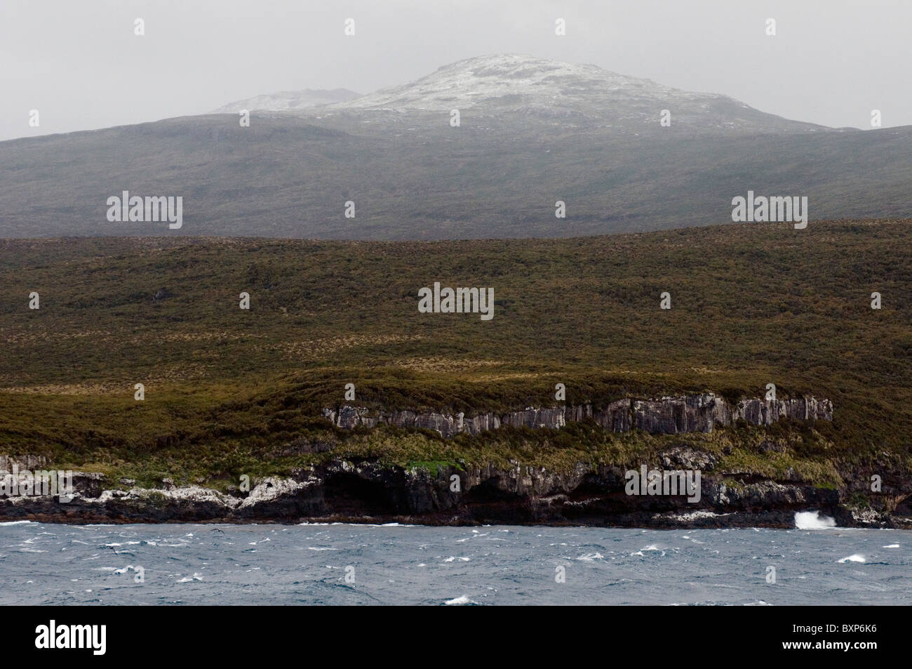 Au départ de la persévérance Harbour dans l'île Campbell subantarctique, la NOUVELLE ZELANDE, avec Mt Miel (569 mètres) au-delà Banque D'Images