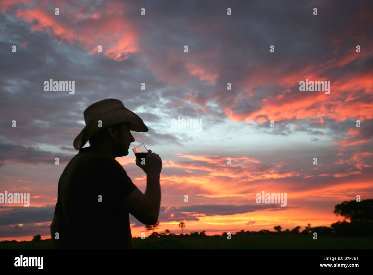 L'homme de prendre un verre au coucher du soleil Banque D'Images