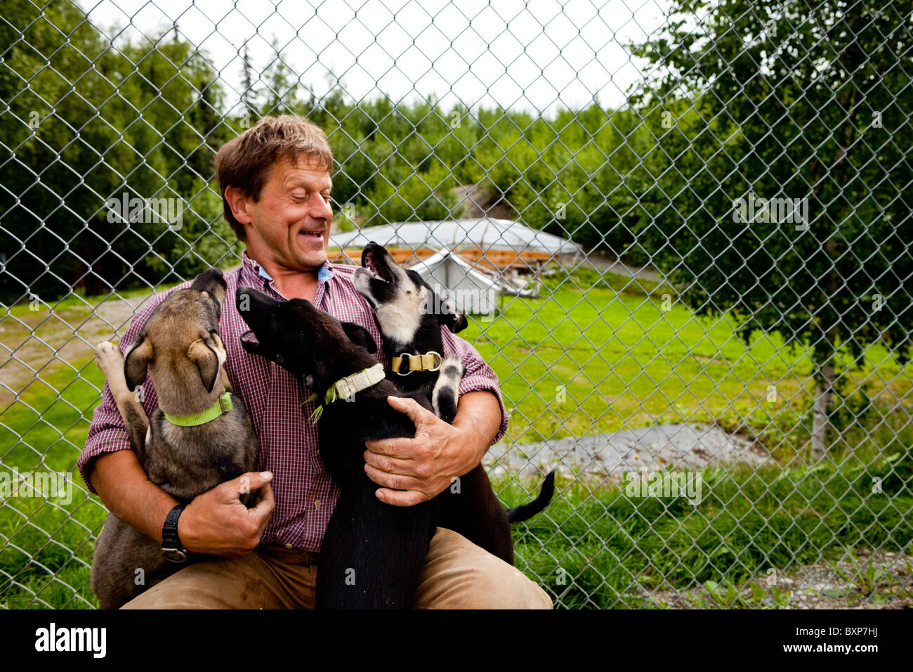 Alaska, Grand Lac, Happy Trails chenil. Martin Buser avec le 'Palin portée.' Banque D'Images