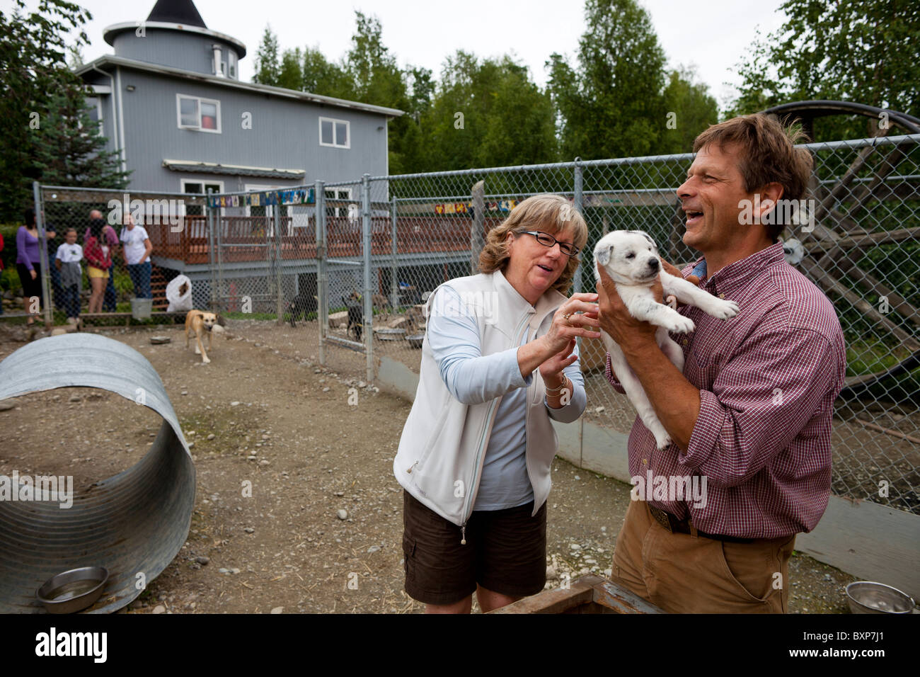 Alaska, Grand Lac, Happy Trails chenil. Martin Buser chenil donnant des visites de touristes en visite. Banque D'Images