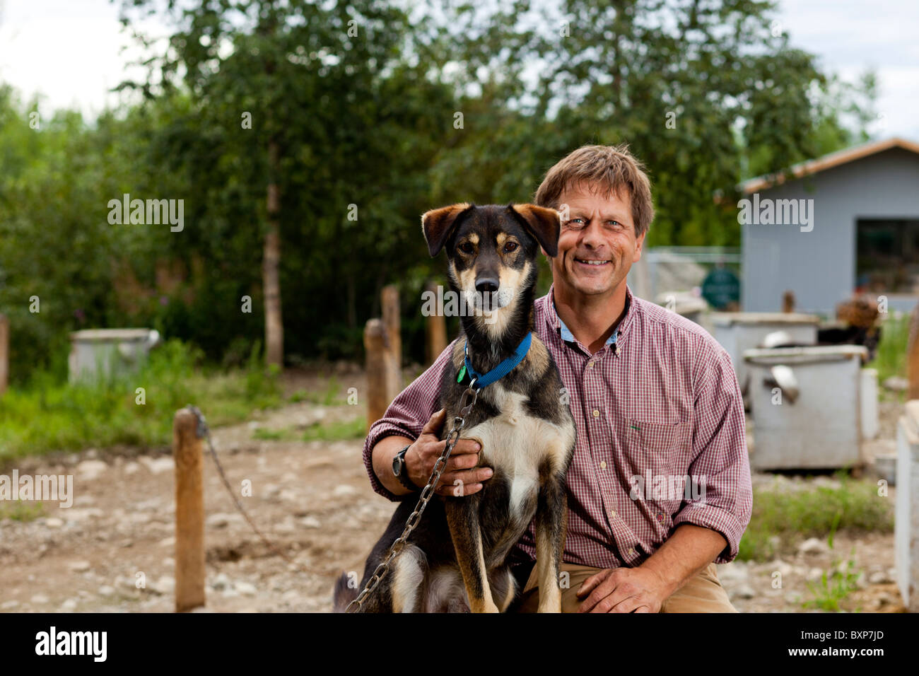 Alaska, Grand Lac, Happy Trails chenil. Martin Buser à son domicile. Banque D'Images