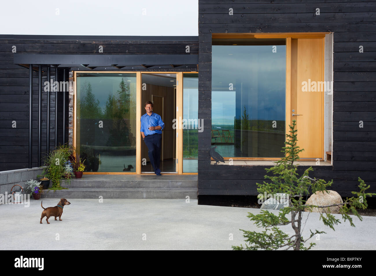 Alaska, Grand Lac, Happy Trails chenil. Martin Buser à son domicile. Banque D'Images