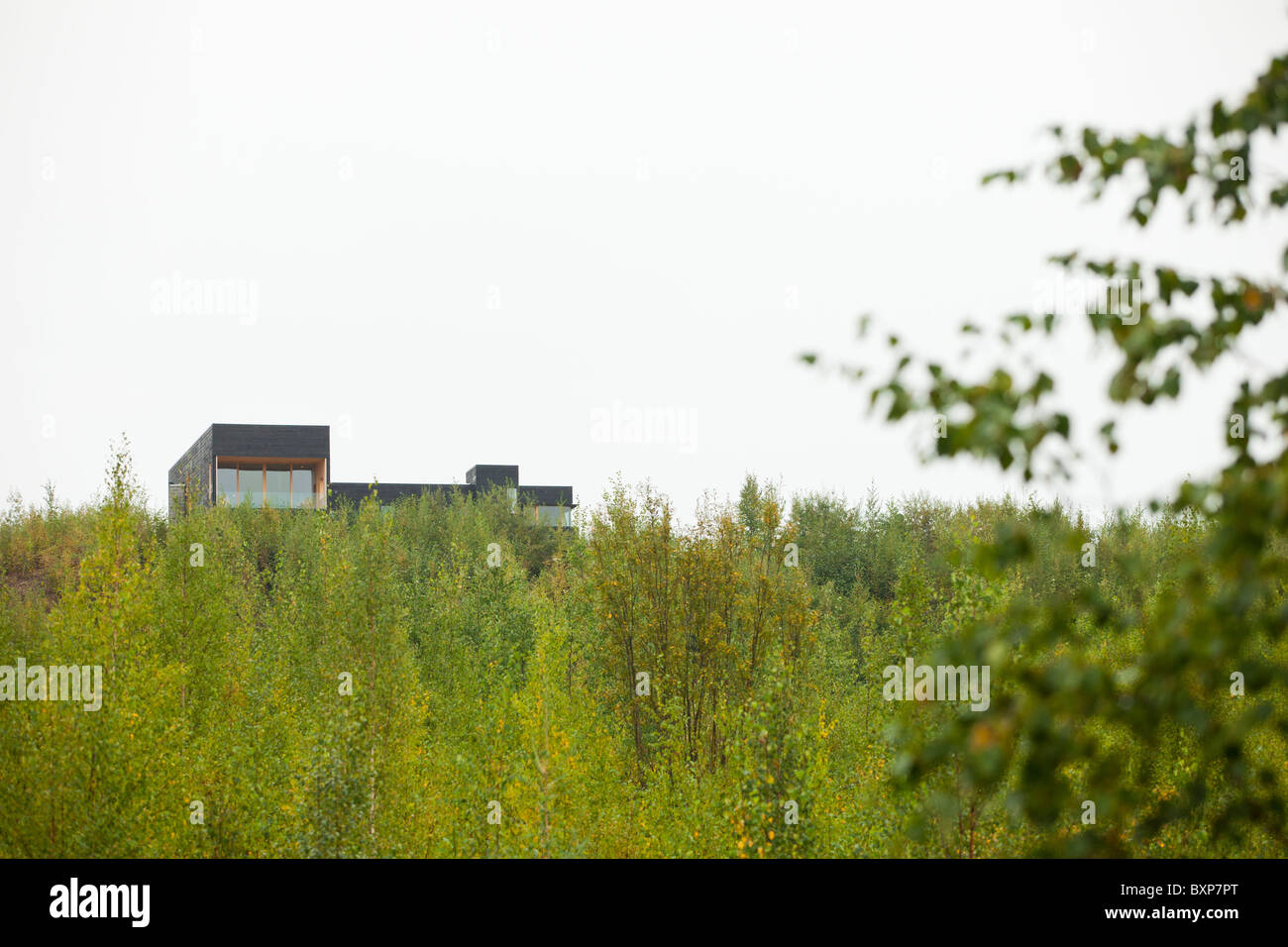 Alaska, Grand Lac, Happy Trails chenil. Martin Buser nouvelles accueil sur la colline donne sur sa vieille maison et le chenil. Banque D'Images