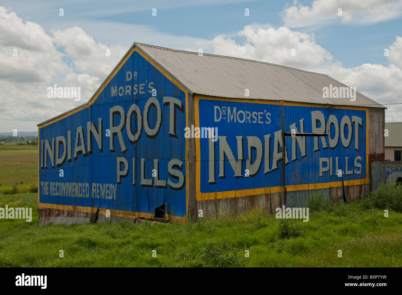 Vieille publicité de médicaments brevetés sur le côté d'une grange à la campagne à Morpeth près de Cessnock en Nouvelle-Galles du Sud Banque D'Images