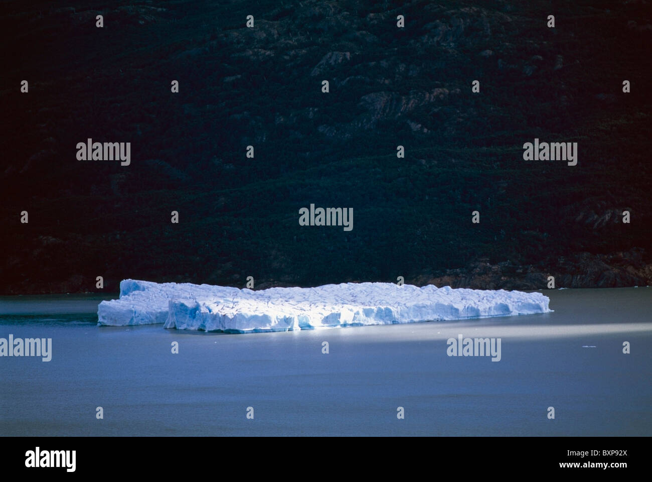 Iceberg sur le lac Glacier Grey Banque D'Images