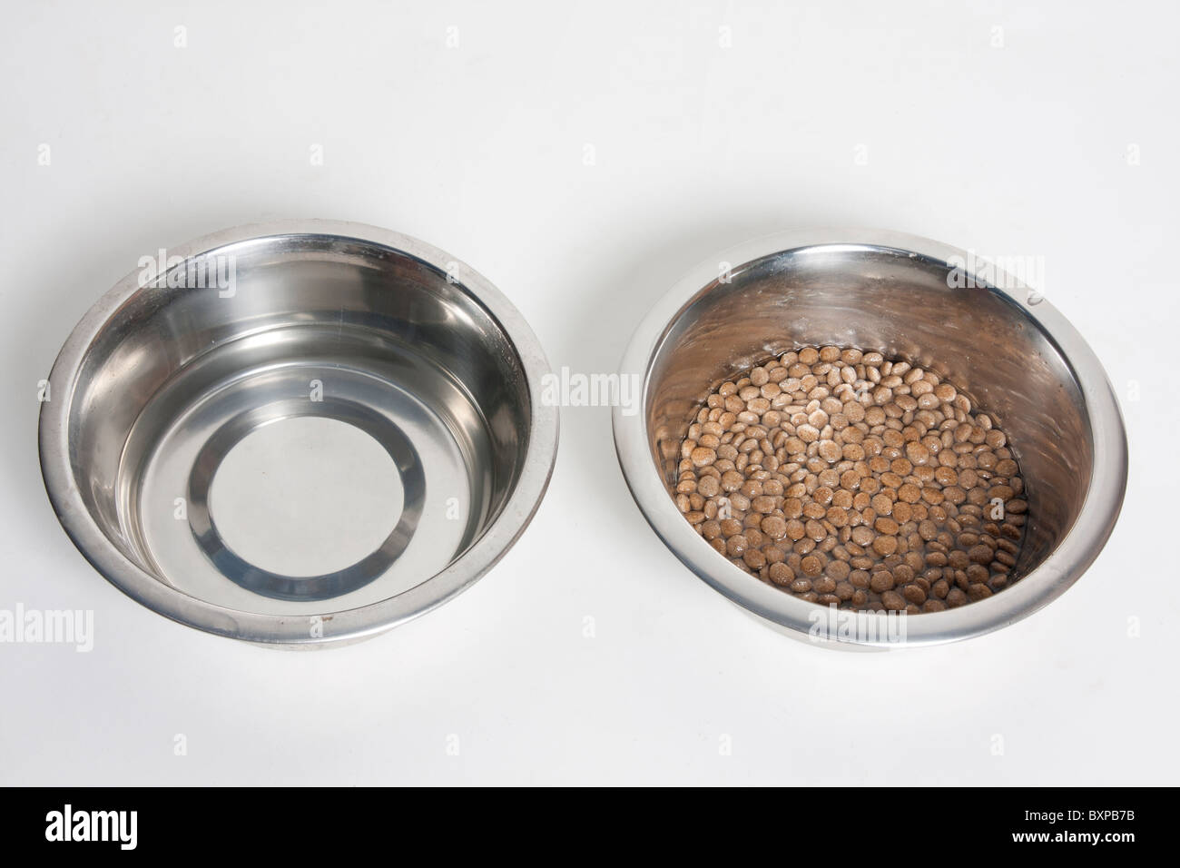 Toujours de nourriture pour chiot séchées trempées dans l'eau et la cuvette de l'eau potable Banque D'Images