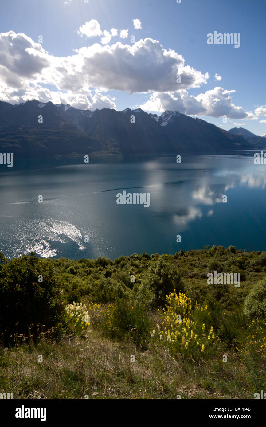 Montagnes et nuages se reflètent dans les eaux calmes de l'extrémité nord du lac Wakatipu Banque D'Images