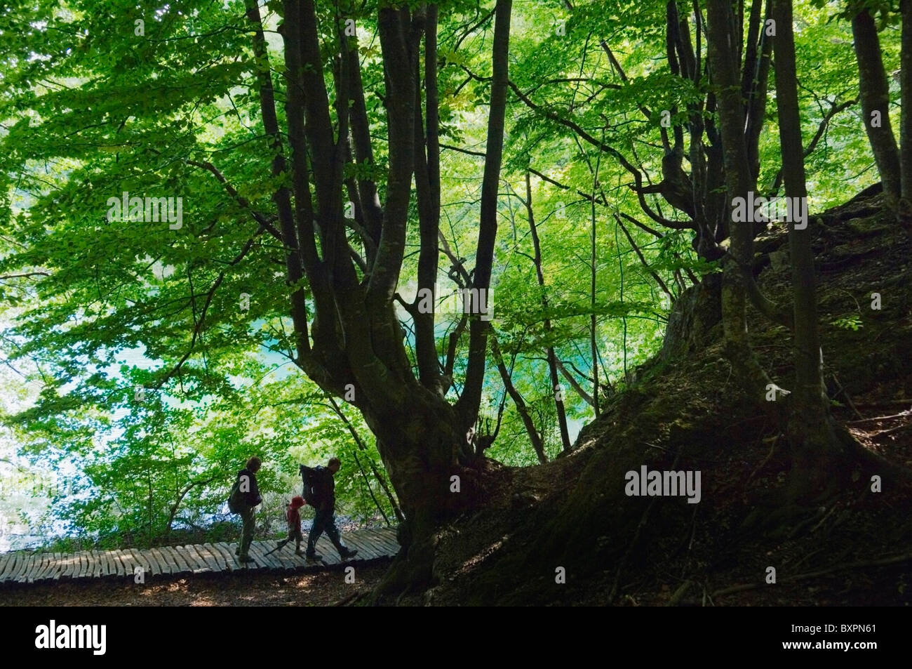 Randonnées dans le Parc National de Plitvice. Banque D'Images