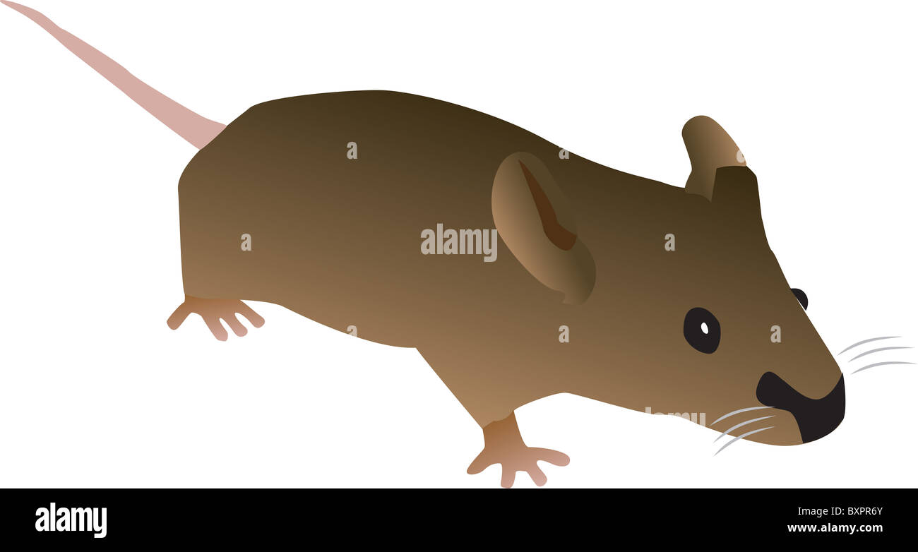 Brown cartoon souris isolé sur un fond blanc. Banque D'Images