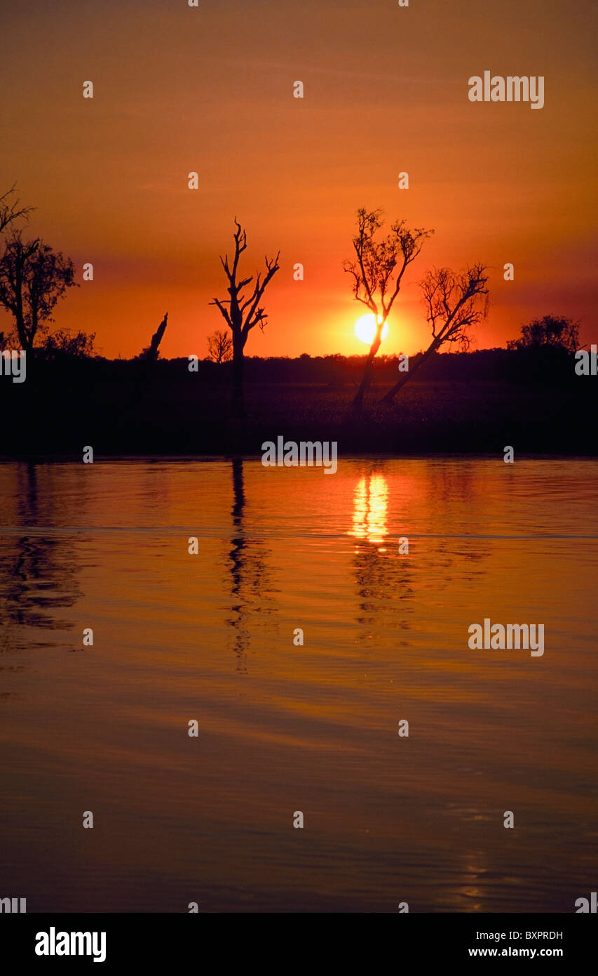 Les zones humides d'eau jaune Banque D'Images