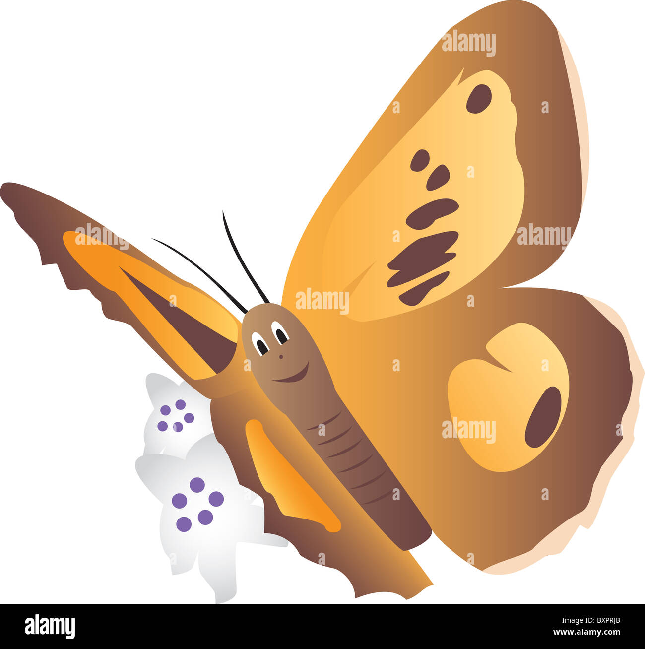 Illustration de cartoon papillon avec smiley face en vol, isolé sur fond blanc. Banque D'Images