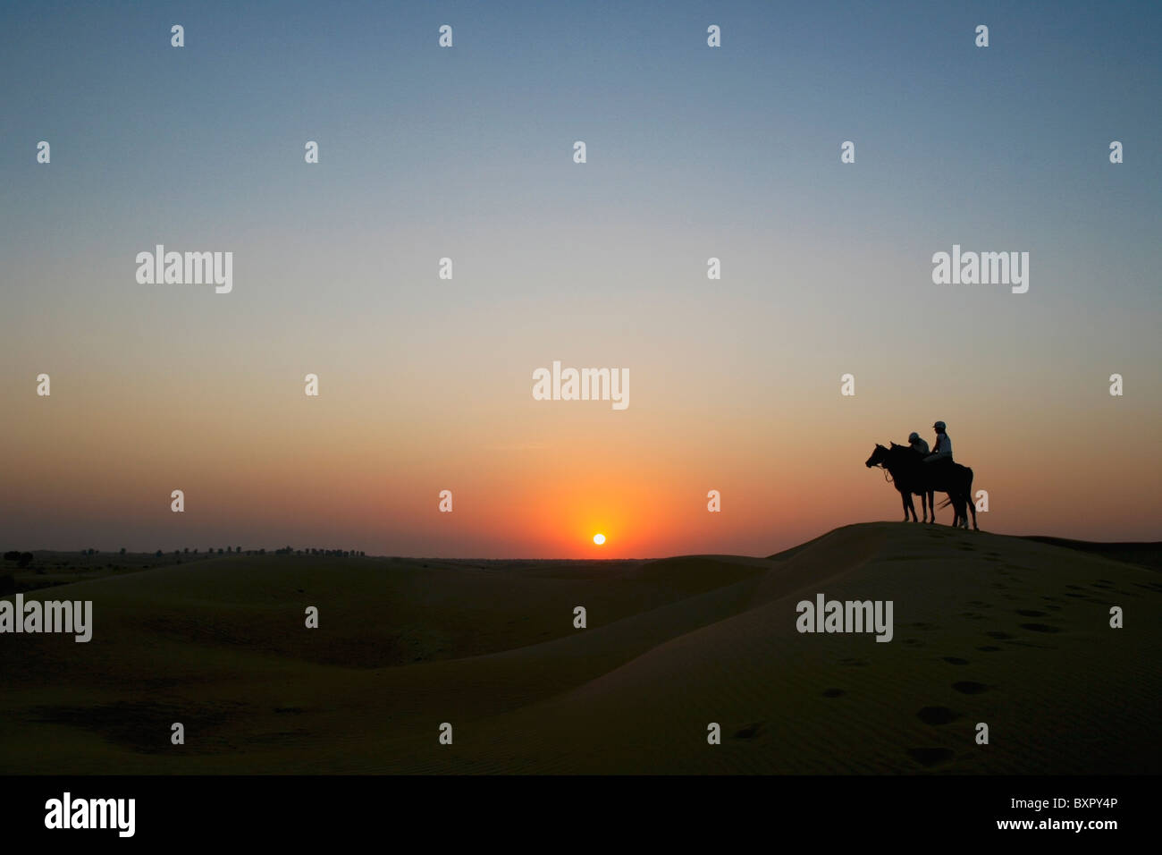 Équitation à Emirats Arabes Unis. Banque D'Images