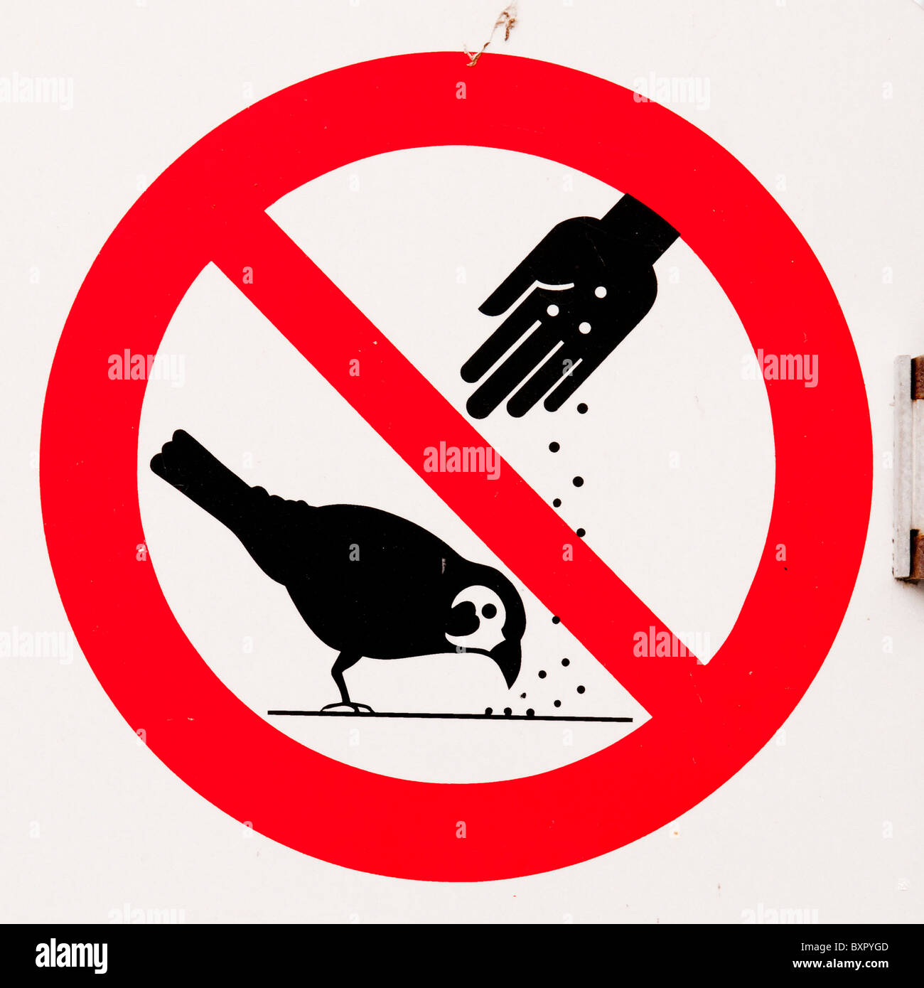 Inscrivez-vous : ne pas nourrir les oiseaux Banque D'Images