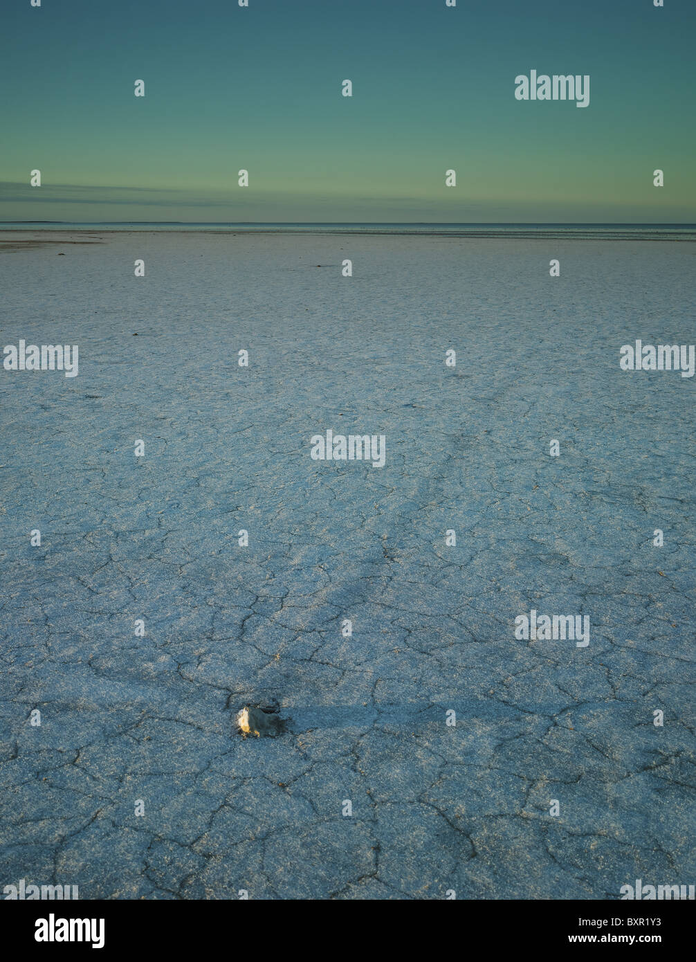 Pan de sel sur le bord du lac avec des preuves d'argile rock poussé autour d'éléments. Parc national du lac Eyre en Australie du Sud Banque D'Images