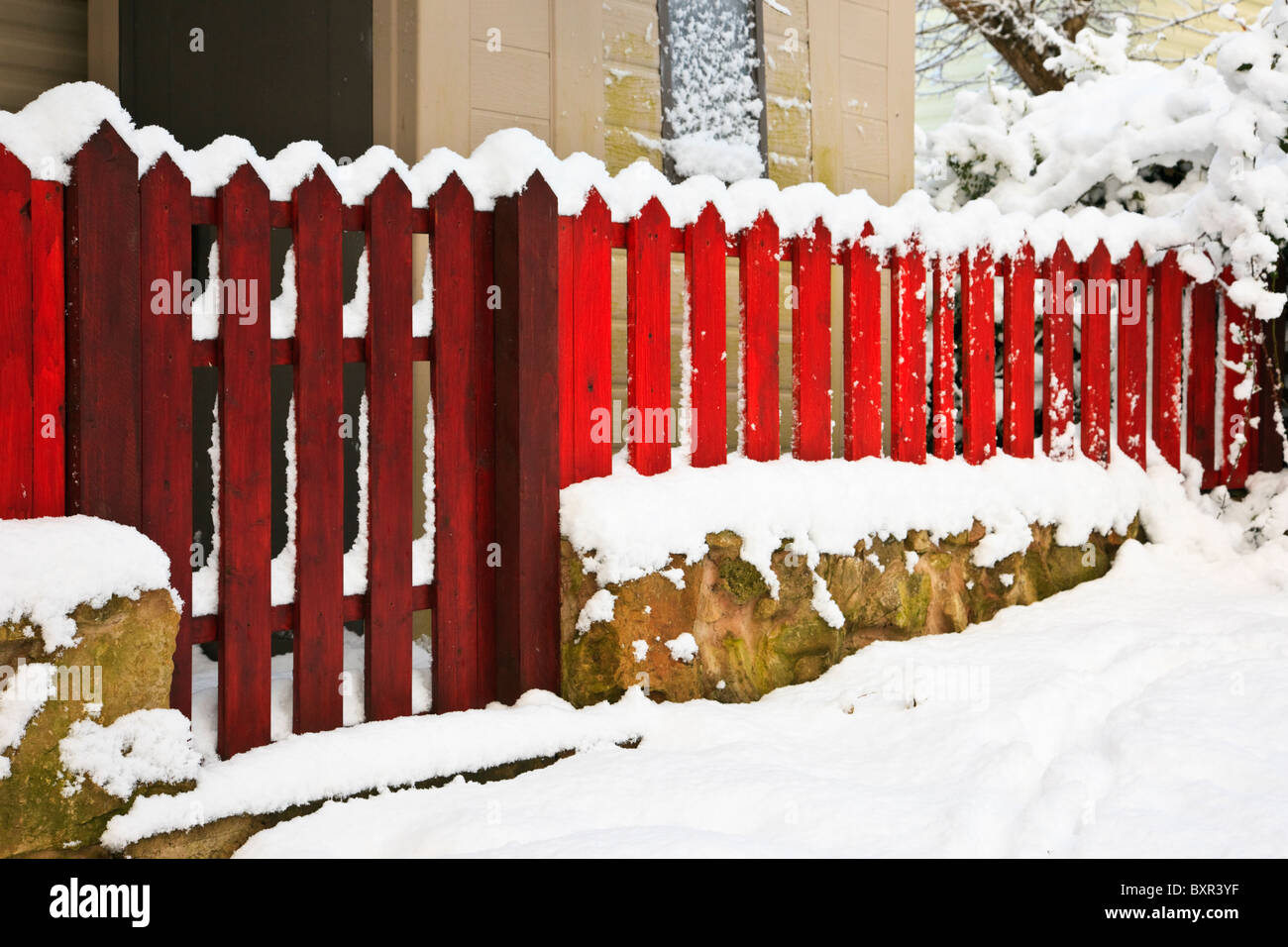 Clôture de piquetage en bois rouge et limite de porte autour d'une propriété domestique de jardin dans la neige. Royaume-Uni, Grande-Bretagne. Banque D'Images