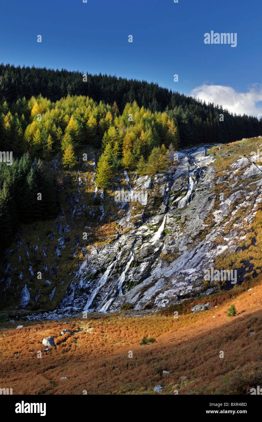 Glenmacnass Waterfall automnales douce lumière d'automne Montagnes Wicklow County Wicklow Irlande près de laragh landcape Banque D'Images