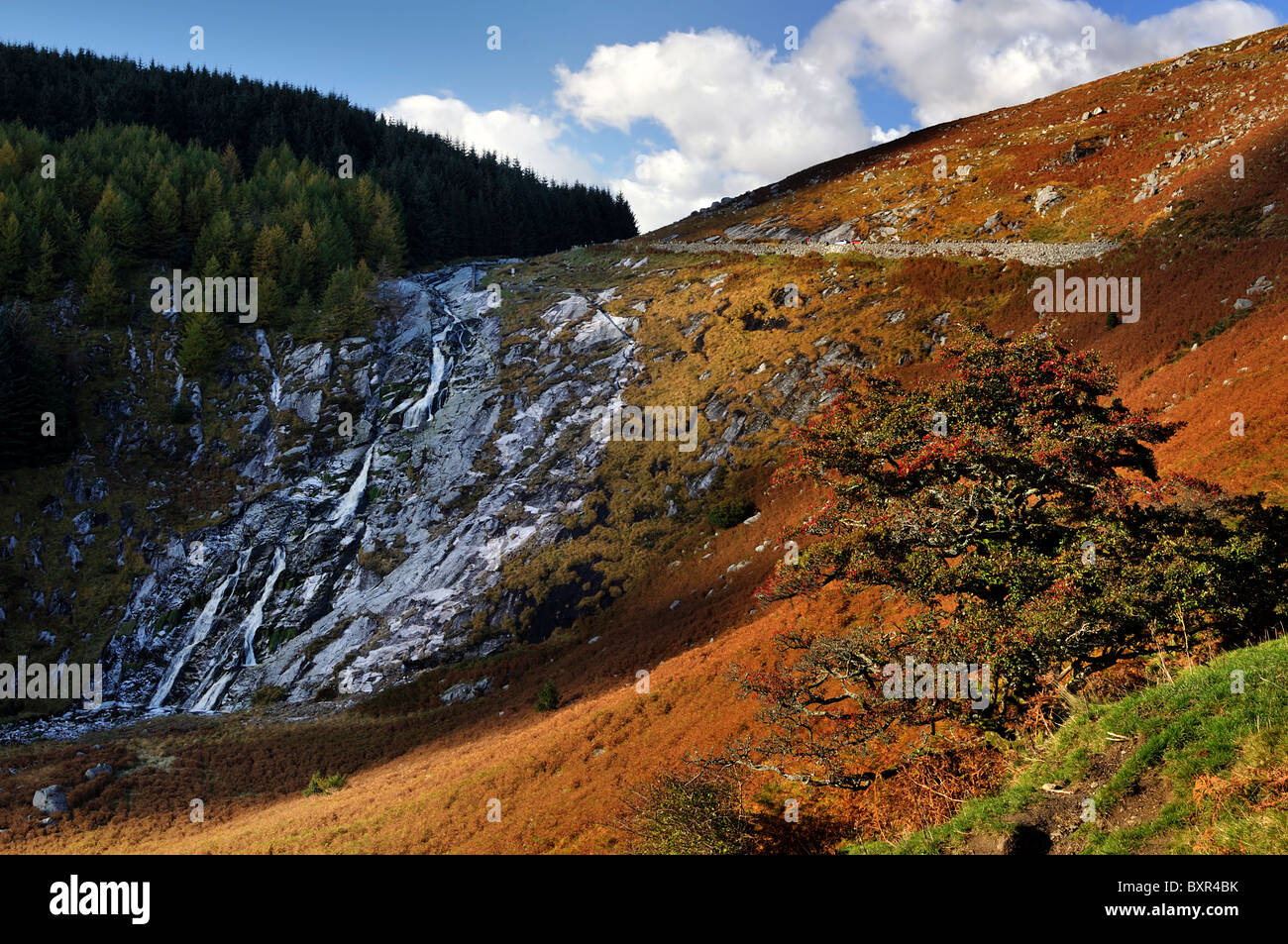 Glenmacnass Waterfall automnales douce lumière d'automne Montagnes Wicklow County Wicklow Irlande près de laragh landcape Banque D'Images