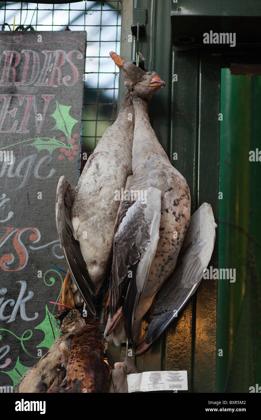 La viande de gibier sur l'écran, Borough Market, London,en England-Close-up Banque D'Images