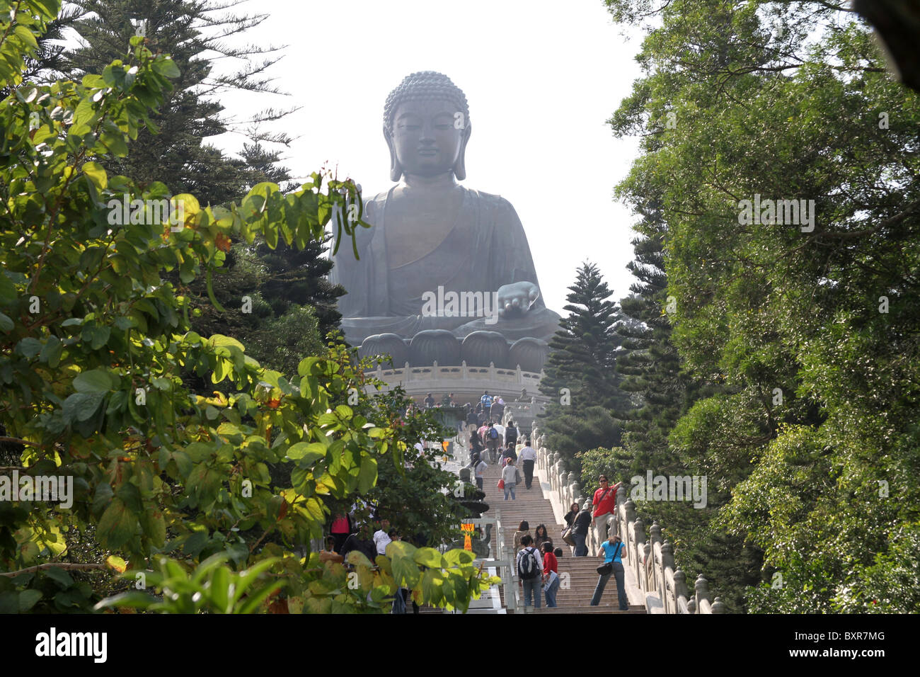 La statue du Grand Bouddha Tian Tan sur l'île de Lantau à Hong Kong, Chine Banque D'Images